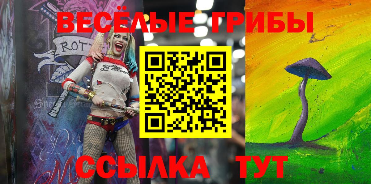 Галлюциногенные грибы Cubensis Махачкала