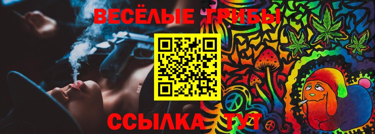 Галлюциногенные грибы мицелий  Псилоцибиновые грибы Psilocybine cubensis  Махачкала  Вход с VPN 