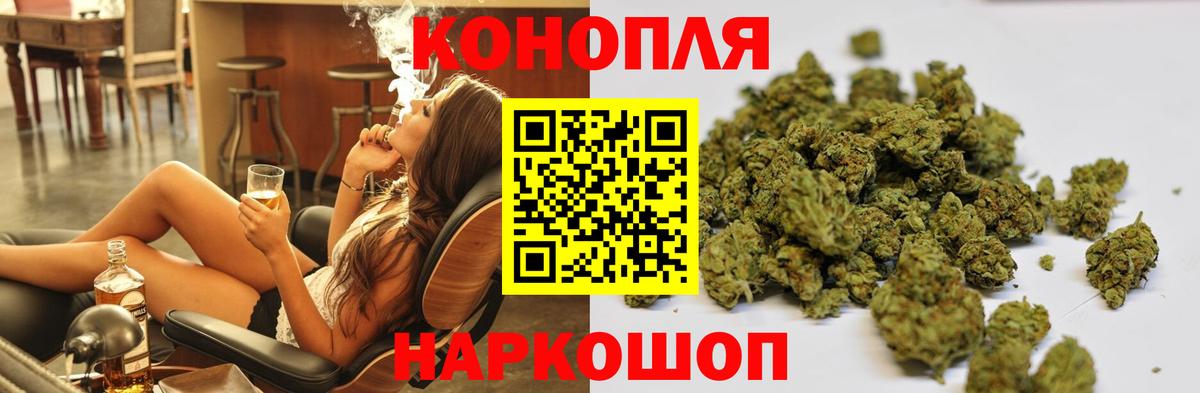 Канабис сатива Махачкала